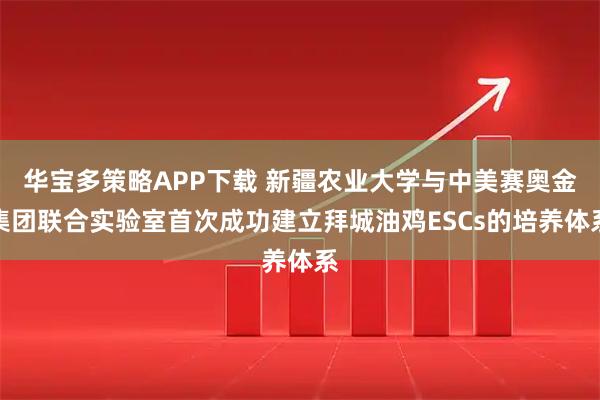 华宝多策略APP下载 新疆农业大学与中美赛奥金集团联合实验室首次成功建立拜城油鸡ESCs的培养体系