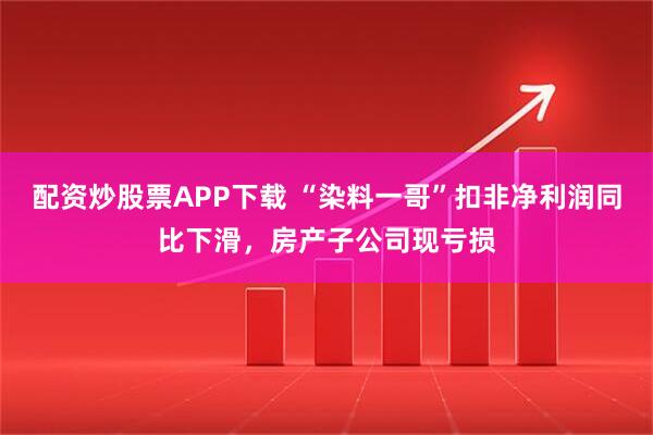 配资炒股票APP下载 “染料一哥”扣非净利润同比下滑，房产子公司现亏损